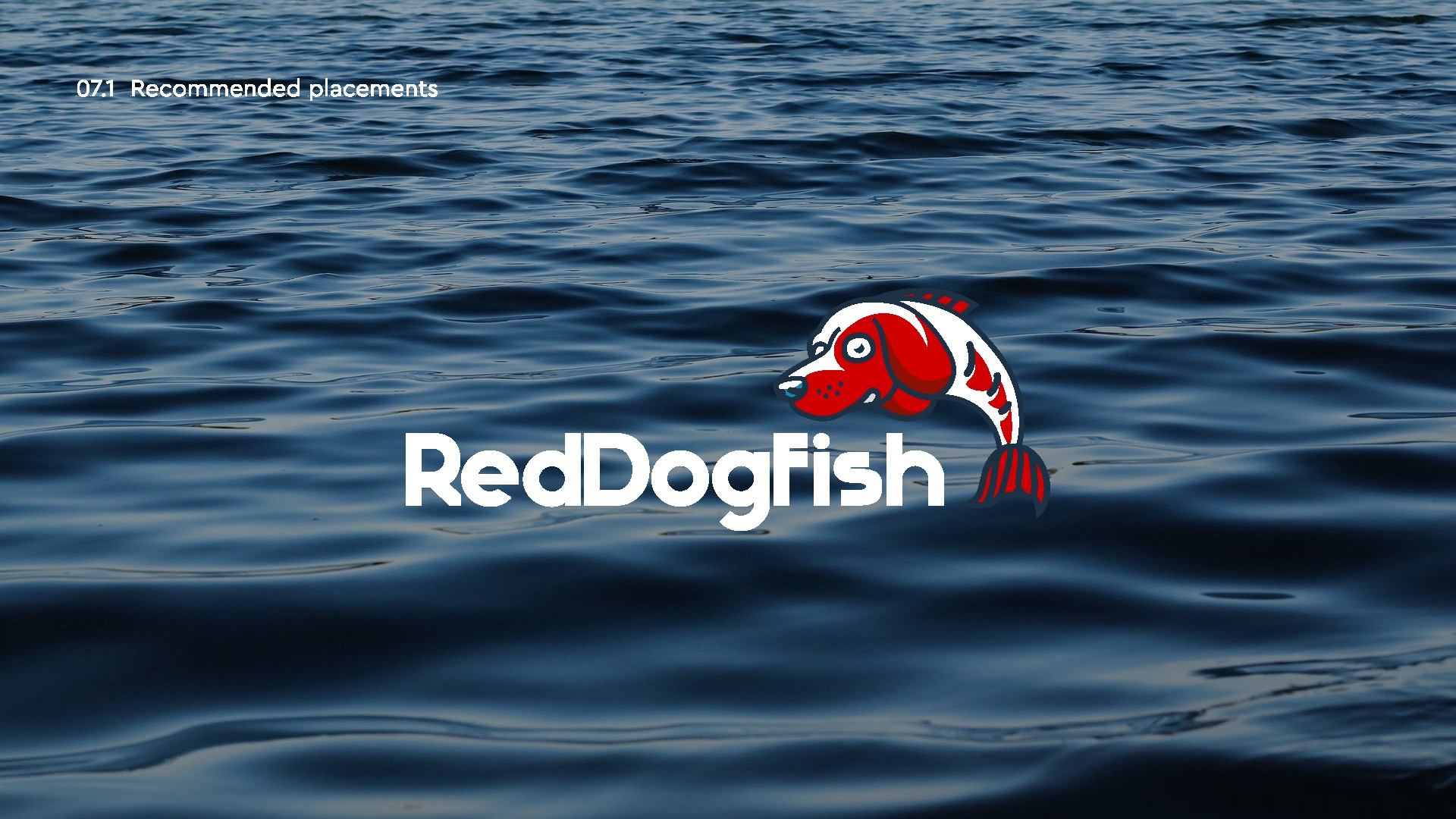 RedDogFish Logo Placement